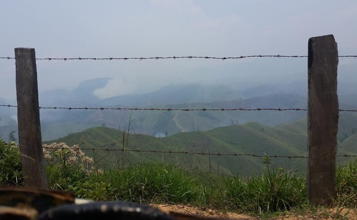 Foto: Cortesía del Comité Nacional para la Defensa y Conservación de Los Chimalapas
