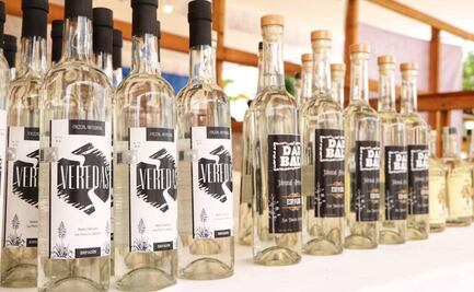 Participan 21 expositores en la Feria del Mezcal 2023, en Tuxtepec, Oaxaca