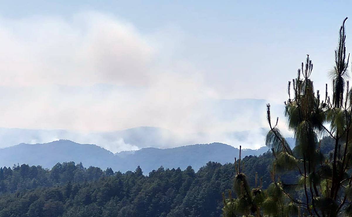 Registran 3 nuevos incendios forestales fuera de control en la Mixteca y Sierra Sur de Oaxaca
