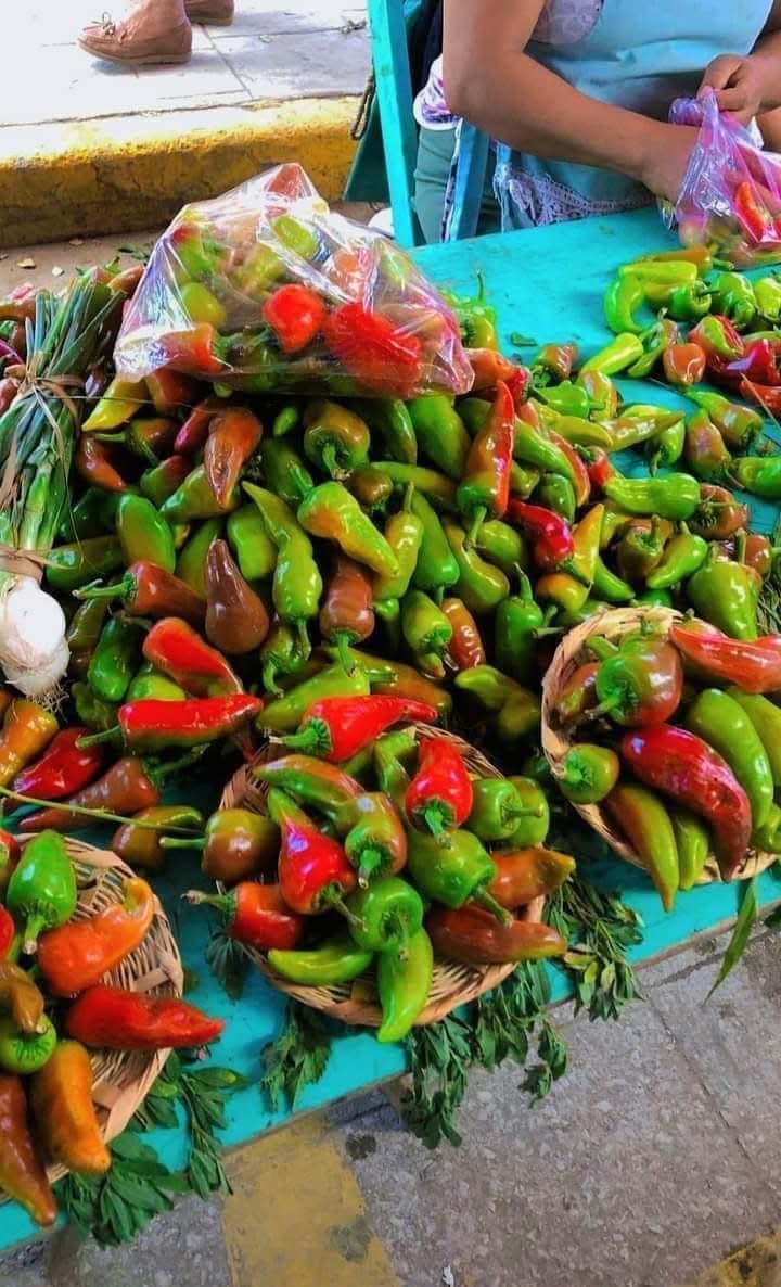 Foto: Facebook Mi querido Oaxaca.