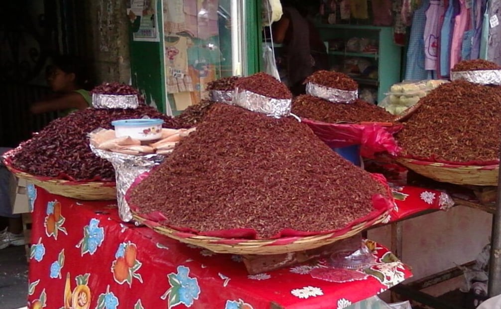 Enteros o en polvo, los chapulines son otro de los ingredientes oaxaqueños que resalta el sabor de cualquier alimento. Foto: Wikimedia Commons