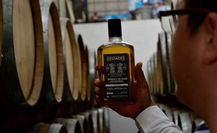 Maíz nativo oaxaqueño, cultivo ancestral que hace nacer whisky