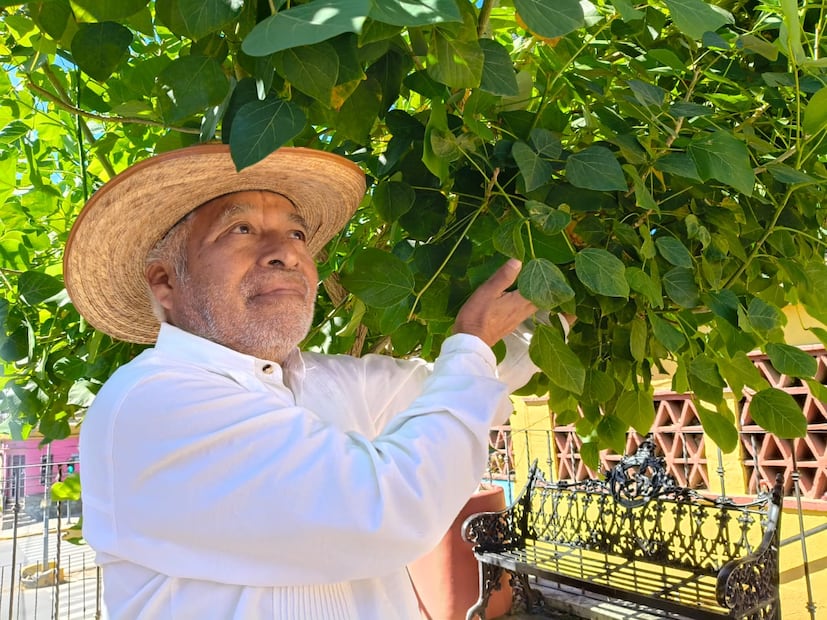 Foto: Juan Carlos Zavala EL UNIVERSAL