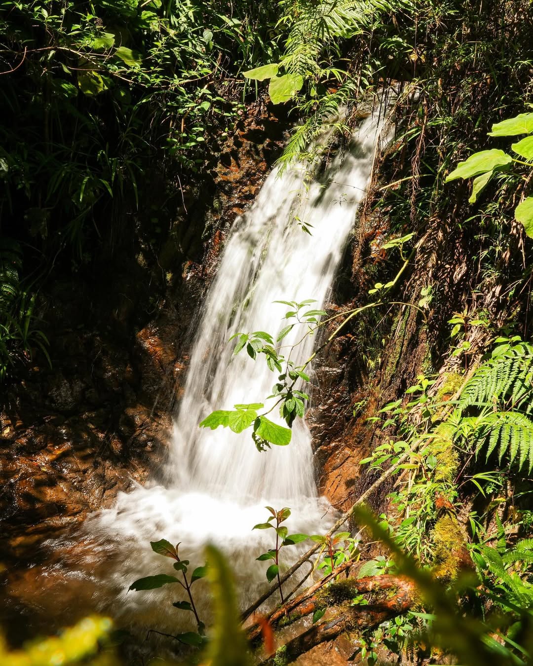 Cascadas de Santa María Huitepec. Foto: the_fungivore, Instagram