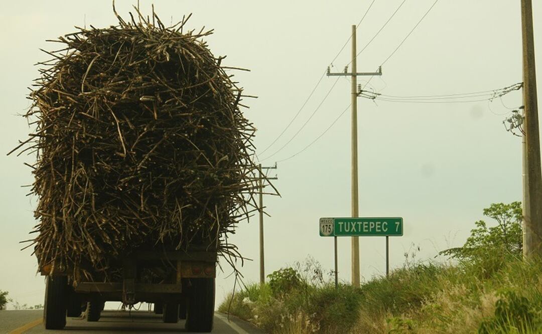 Foto: Antonio Mundaca