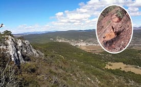 Forman comité para revisar manejo forestal en Teposcolula, Oaxaca; “tala ha dejado desplazamiento”, alertan