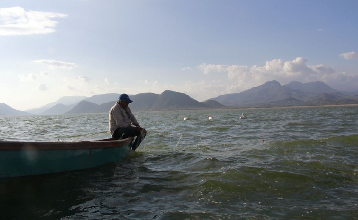 Fotos: Roselia Chaca