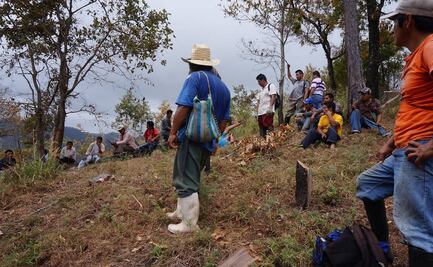 Pobladores zoques de Los Chimalapas, listos para delimitar la nueva frontera entre Oaxaca y Chiapas