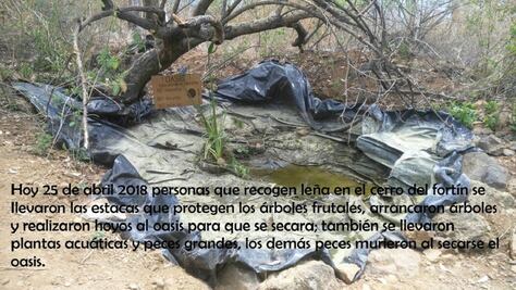 Destruyen oasis, iniciativa para rescatar al Fortín; piden ayuda para rehabilitarlo