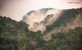 Acepta Conanp salida de Santa María Chimalapa del programa de Área de Conservación en más de 3 mil hectáreas