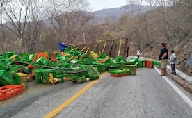 Se registra rapiña tras volcadura de camión que transportaba pollos en el Istmo de Oaxaca