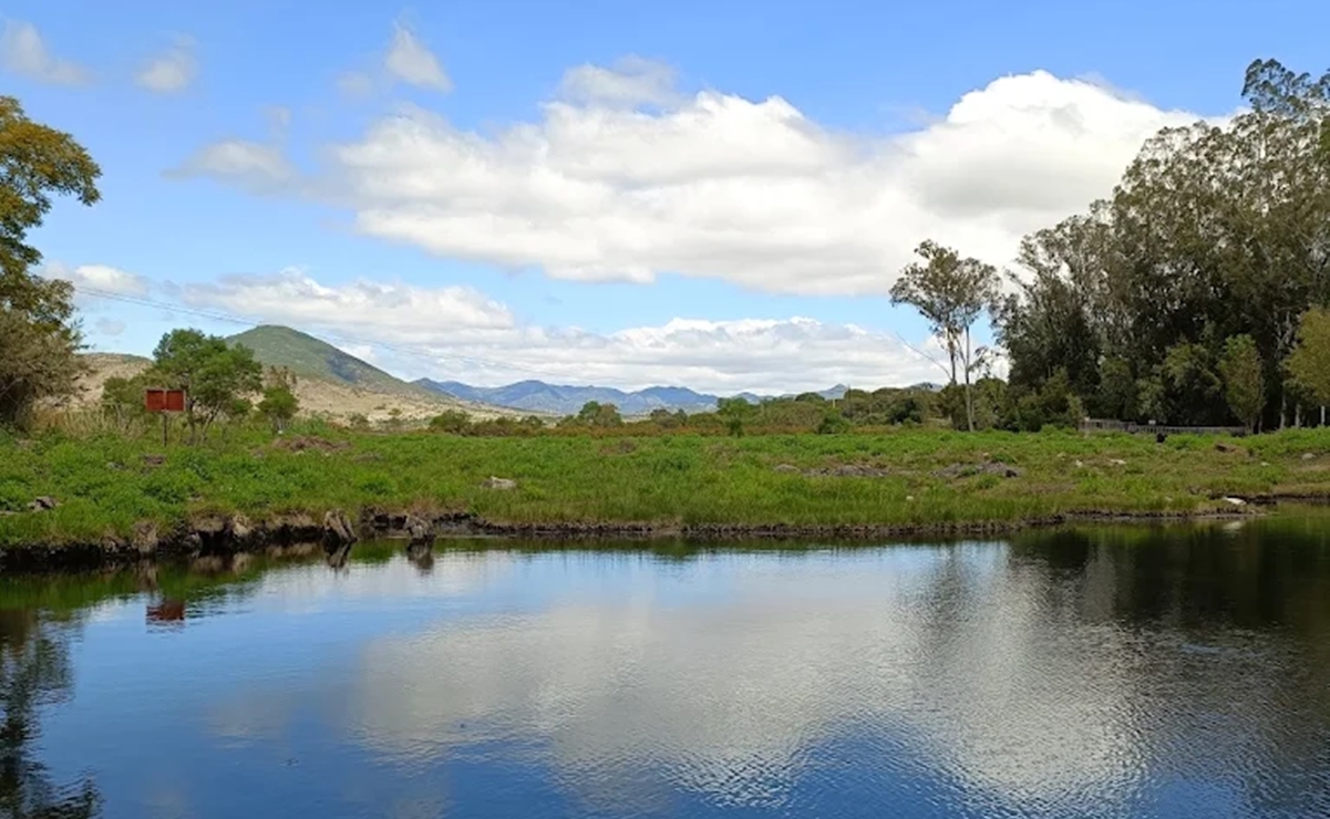 Los ojos de agua de Tamazulápam, manantiales vírgenes en Oaxaca