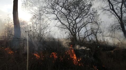 Tres nuevos incendios en San Vicente Coatlán, Oaxaca, ponen en riesgo diálogo con Sola de Vega
