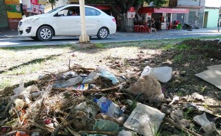 Multarán con más de 8 mil pesos o arresto de 36 horas a quien tire basura en calles de Oaxaca de Juárez