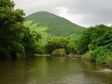 Exigen pobladores de San Miguel Chimalapa alto a la tala ilegal en su selva