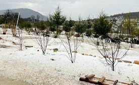 Frente frío número 42 llega con granizada y afectaciones por lluvias intensas en la Mixteca