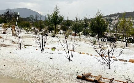 Frente frío número 42 llega con granizada y afectaciones por lluvias intensas en la Mixteca