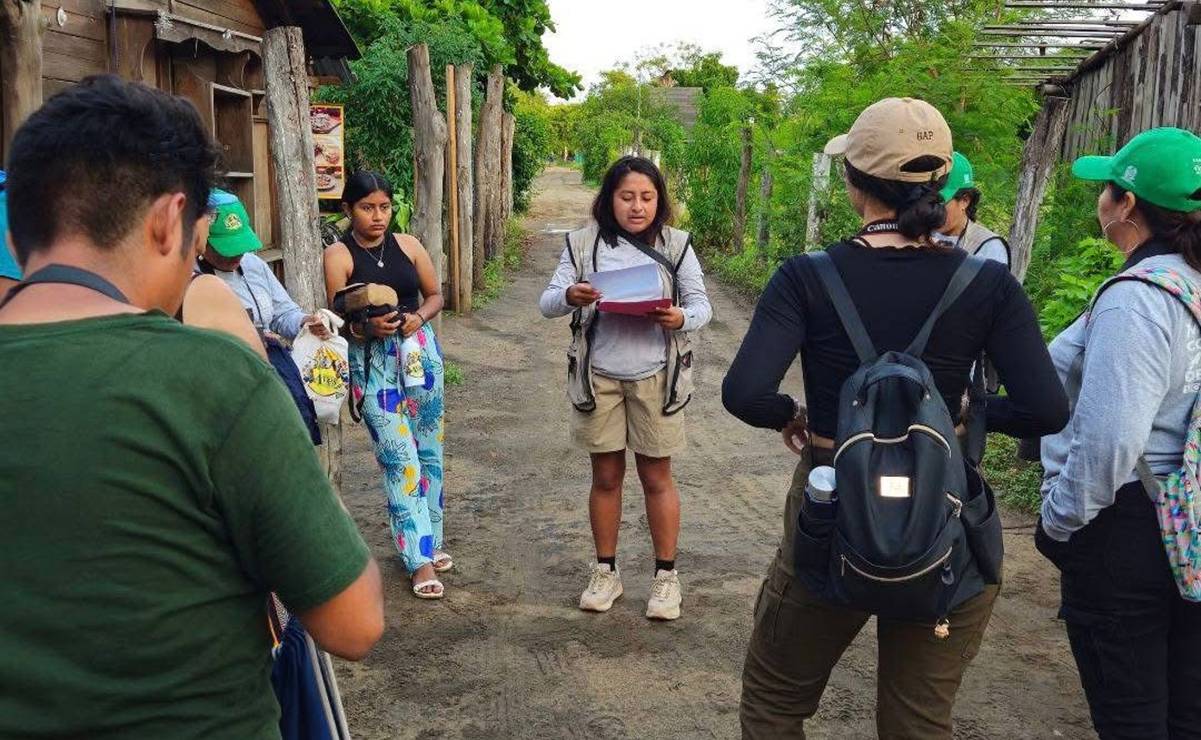 EECO, organización de Oaxaca, denuncia robo electrónico; afecta proyectos comunitarios