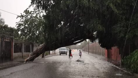 Prevén lluvias intensas en territorio oaxaqueño