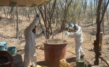 Marina desmantela laboratorio clandestino en Sinaloa, presuntamente de “La Chapiza”; destruye 600 kg de metanfetamina