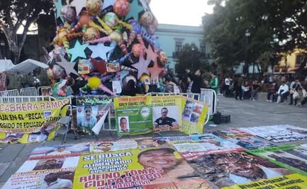 Con árbol de Navidad, mujeres de Oaxaca visibilizan a deudores alimentarios; se estiman 800 mil