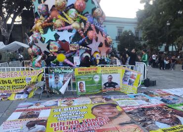 Con árbol de Navidad, mujeres de Oaxaca visibilizan a deudores alimentarios; se estiman 800 mil