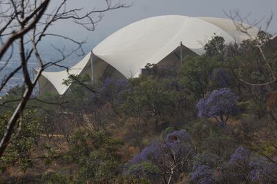 Aumenta contaminación en Oaxaca; es un problema grave: INSO