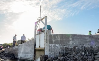 Estrenan compuerta en Juchitán, Oaxaca, que permitirá aumentar la producción pesquera