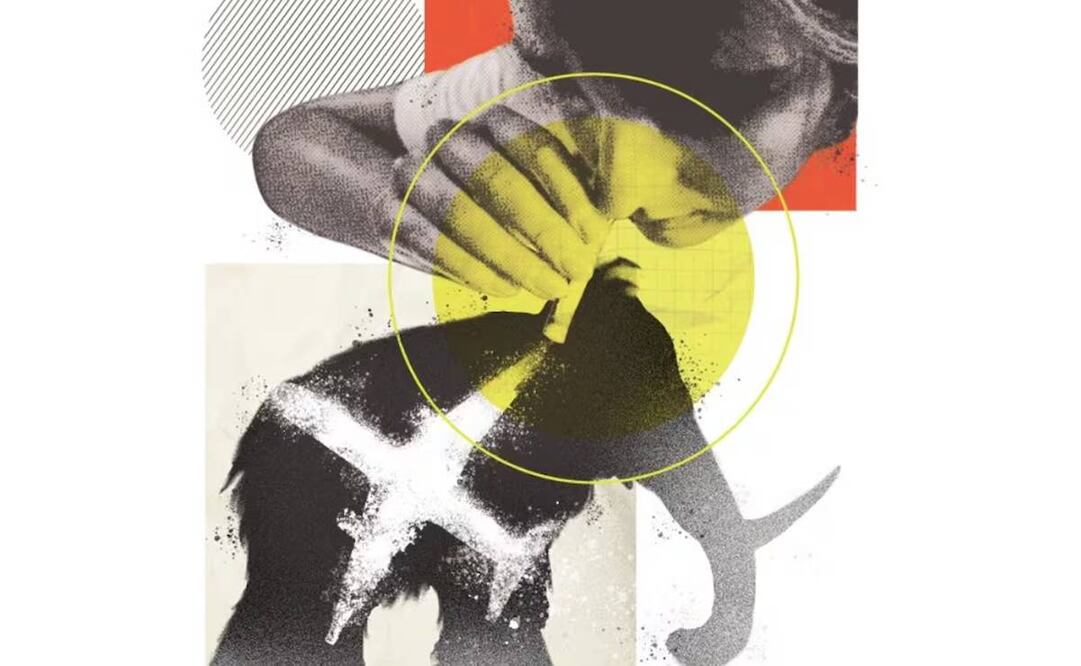 Ilustración: Liliana Pedraza