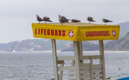 Esto recomienda un guardavidas para unas vacaciones seguras en las playas de Oaxaca