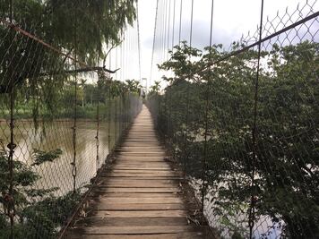 Al menos 23 personas lesionadas tras desplome de puente colgante en Reyes Nopala, Oaxaca