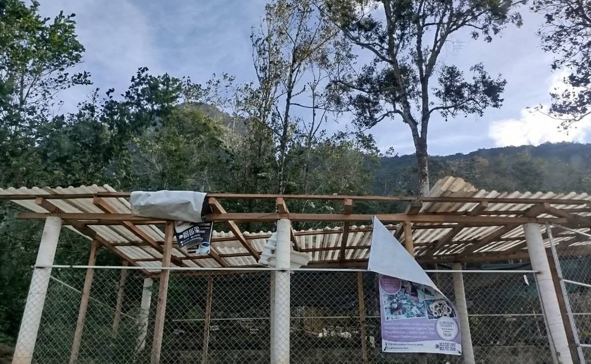 Por ventarrones suspenden clases en la Mixteca de Oaxaca; reportan pueblos incomunicados