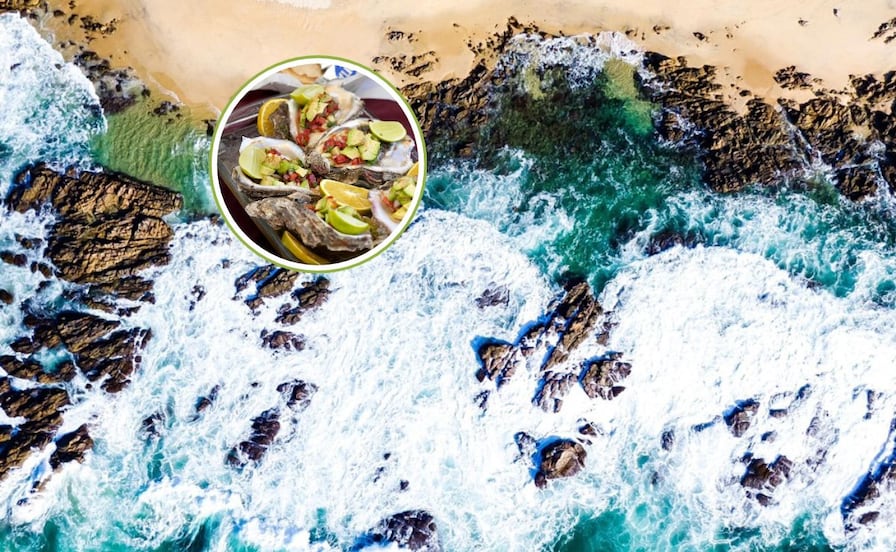 La playa de Oaxaca donde regalan miles de ostiones en esta fiesta de diciembre