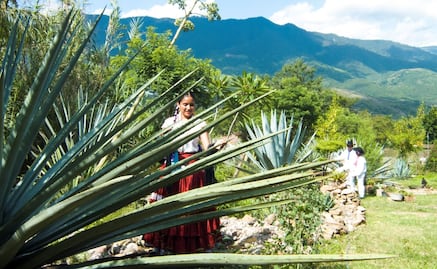 La Feria del Mezcal Solteca, evento con el que revive Oaxaca su herencia ancestral ¿Cuándo y dónde se celebra?