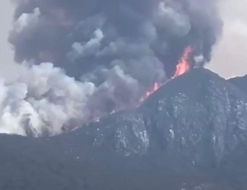 Fuerte incendio consume bosques de Logueche, en la Sierra Sur de Oaxaca; movilizan brigadas de Conafor