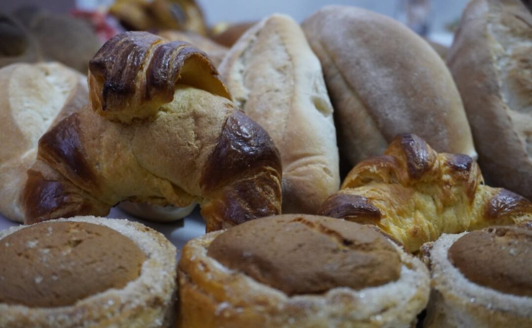 Foto: Mario Arturo Martínez /EL UNIVERSAL