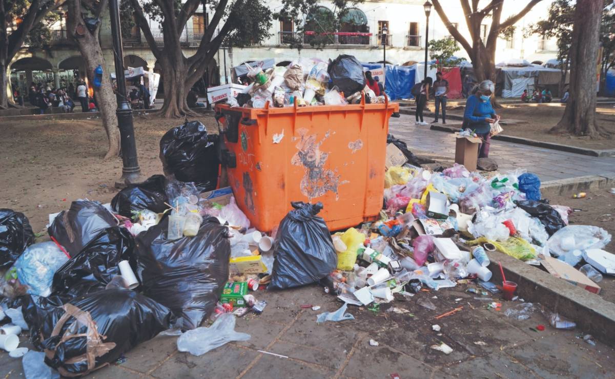 Foto: Edwin Hernández