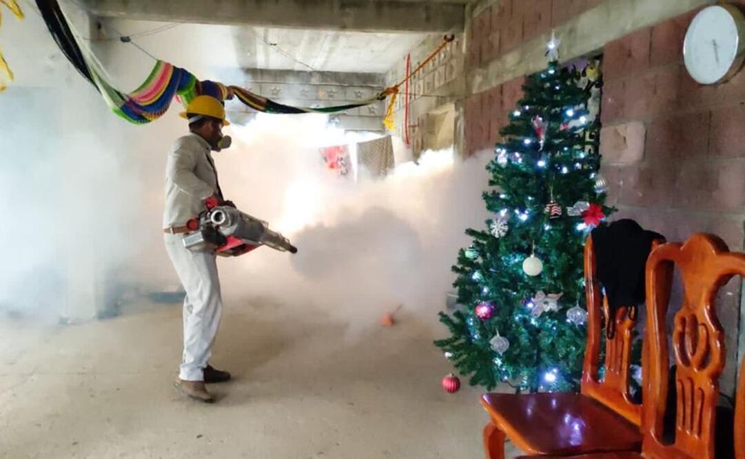 Suma Oaxaca 10 muertes y mil 790 casos de dengue, la mayoría en Valles Centrales. Foto: Especial