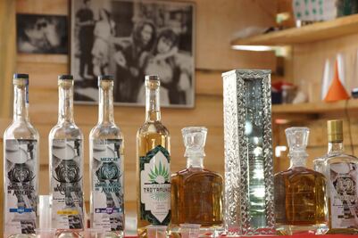 Incluyen a 15 municipios del Edomex en denominación de origen mezcal
