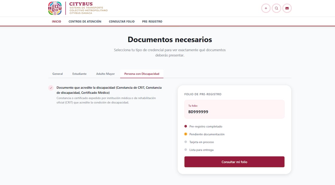 Documentos para la tarjeta preferente del BinniBus. Foto: captura de tarjetabinnibus.oaxaca.gob.mx