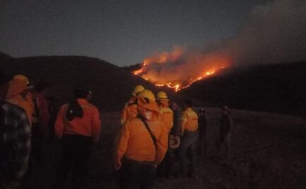 Ocho incendios consumen bosques de Oaxaca en 4 de sus 8 regiones; la Mixteca es la más afectada
