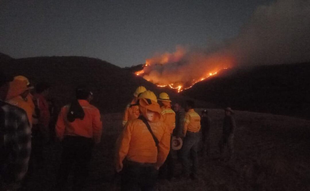 Ocho incendios consumen bosques de Oaxaca en 4 de sus 8 regiones; la Mixteca es la más afectada. Fotos: Especiales