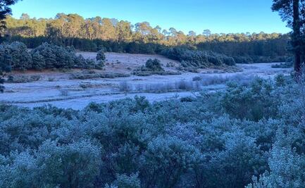 Seguirán bajas temperaturas y heladas en cuatro regiones de Oaxaca