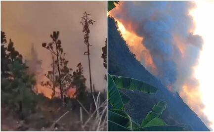 Muere menor de edad por incendio forestal en Santa María Peñoles, Oaxaca; suman 3 víctimas
