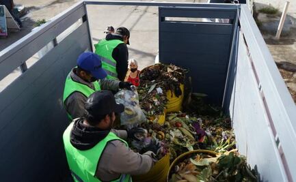 “No es fácil, pero hay disposición” dicen vecinos de la ciudad de Oaxaca sobre recolección de basura orgánica
