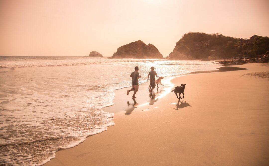 Foto: Gobierno de Oaxaca
