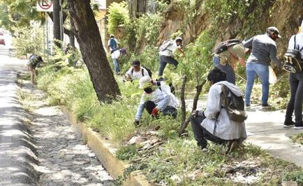 Concluye Labor Comunitaria, que apoya a quienes perdieron su empleo por el Covid-19