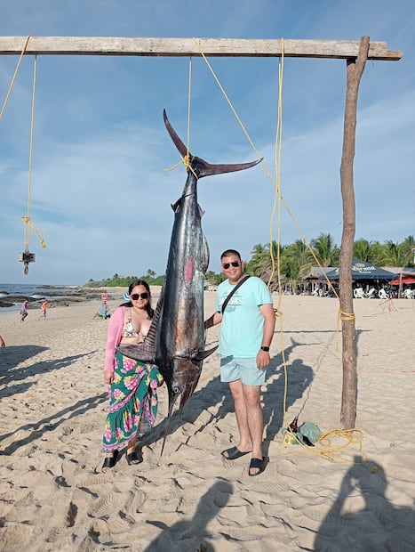 Concurso del picudo más grande. Foto: Facebook, Festival del Ostión Playa Agua Blanca