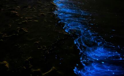 ¿Cómo se llama la playa de Oaxaca que brilla de noche y por qué sucede este fenómeno?