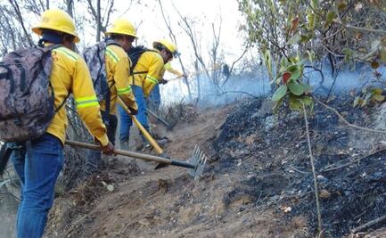 Atiende Brigada de Combatientes reactivación de incendio en San Lucas Quiaviní, Oaxaca